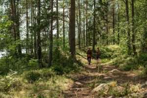 Senderistas caminando por un tramo arbolado en la Vía Verde de Oropesa a Benicàssim