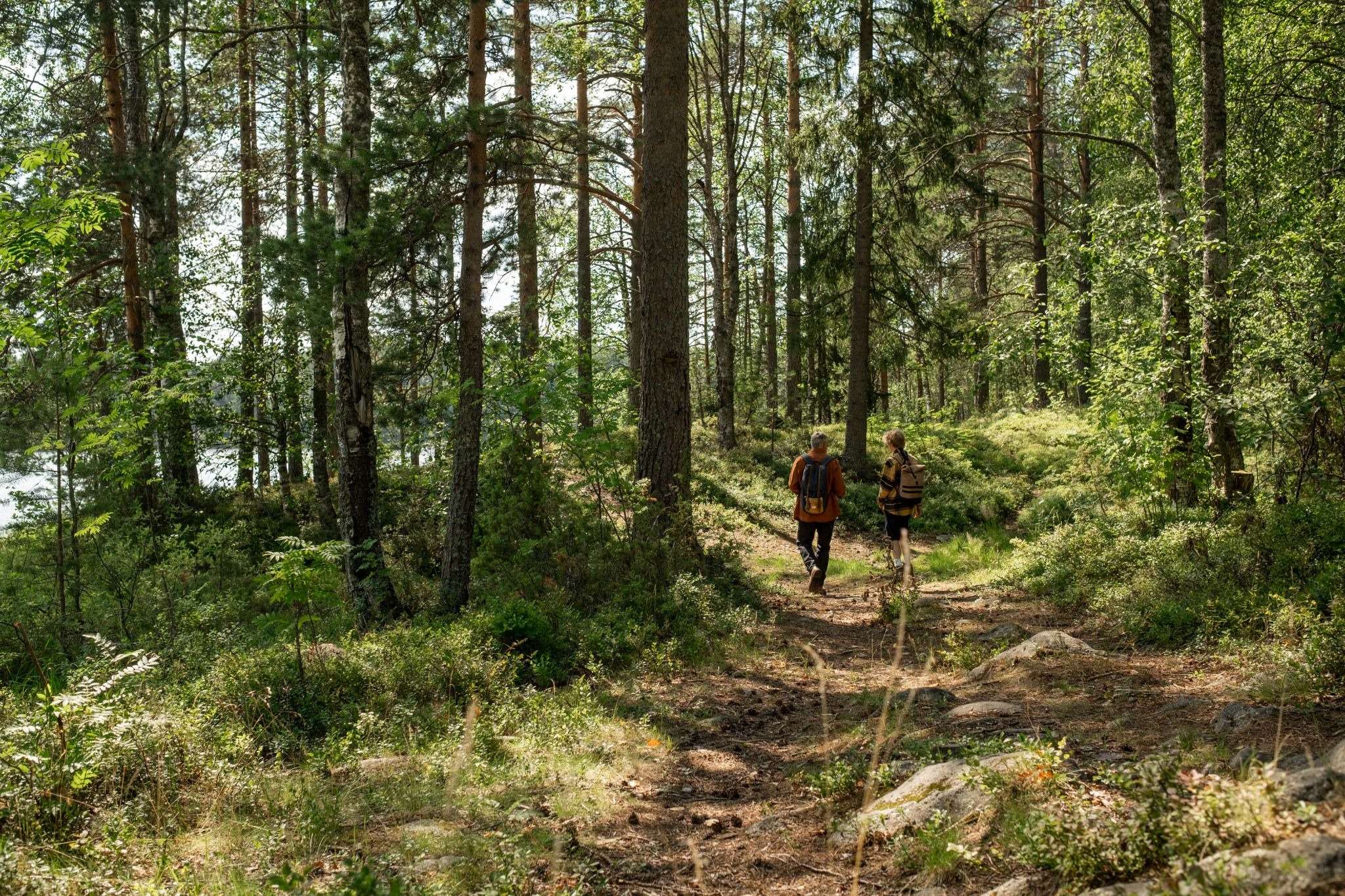 Senderistas caminando por un tramo arbolado en la Vía Verde de Oropesa a Benicàssim